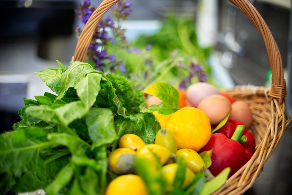 Vegan, gluten free and vegetarian choices are available. Aldo and his wife Susan will make your time memorable.